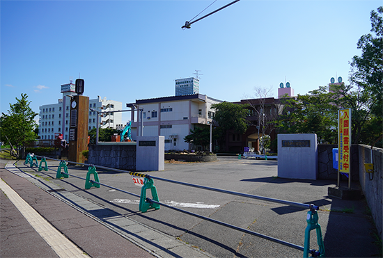 ヒマラヤ杉伐採の様子