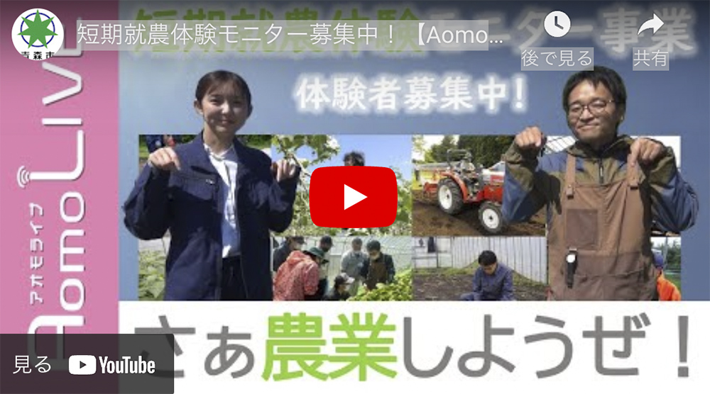【経営法学部】青森市広報番組「Aomo LIVE」のYouTubeに卒業生が出演しました