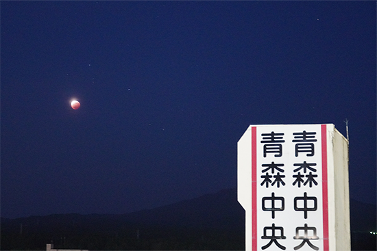 キャンパス内から見えたスーパームーンの皆既月食