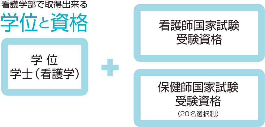 看護学部で取得できる学位と資格：学士（看護学）+看護師国家試験受験資格、保健師国家試験受験資格（20名選択制）