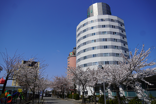 青森中央学院大学・青森中央短期大学のキャンパスの桜の様子