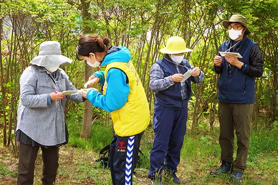 「浅虫温泉海山クア（健康）の道」ドイツ式健康ウォーキングのようす