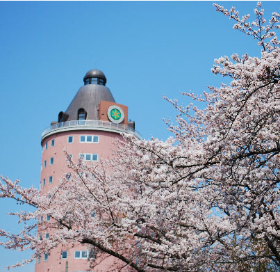 青森中央学院大学大学院